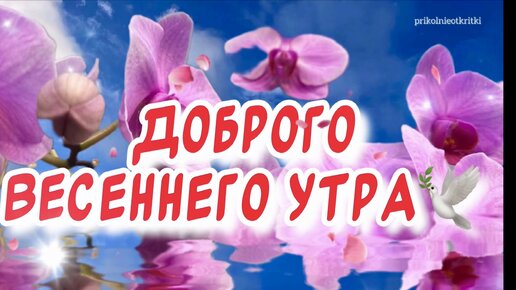 Картинки доброе утро весна красивые 