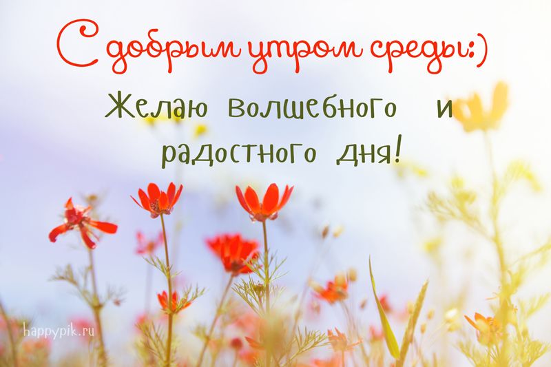 🌺 Замечательной среды! 