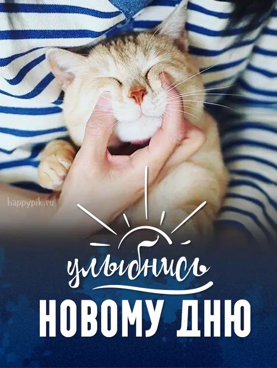 Доброе утро! Улыбнись новому дню 