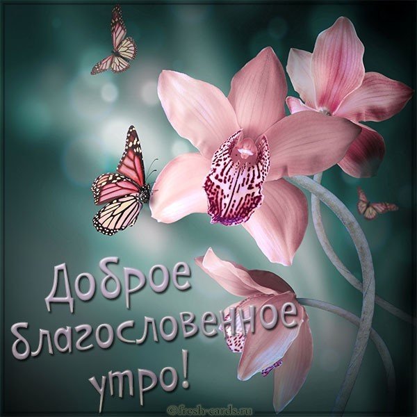 🌞🙏💓Доброго утра благословенного дня 