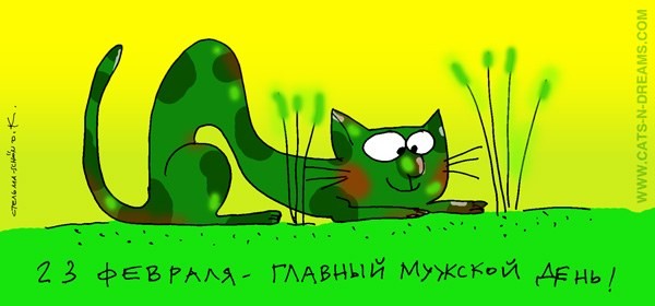 Открытки с котятами прикольные 