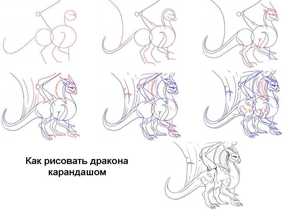 Картинки драконов для срисовки 