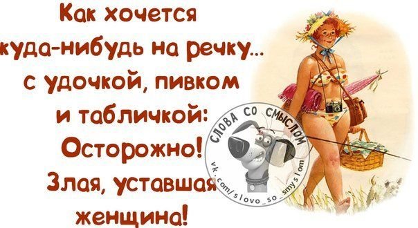 мужжена#муж#жена#приколы#свадьба 