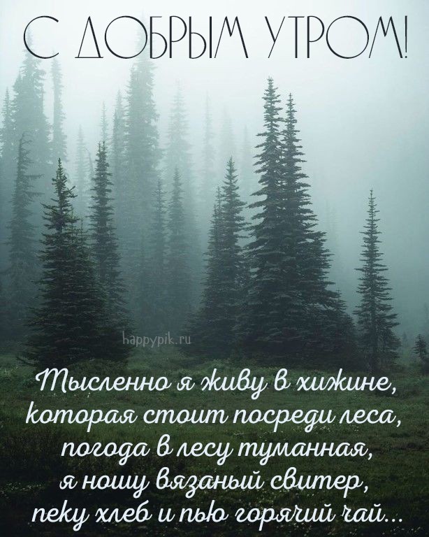 Красивые открытки Доброе утро с природой 110 картинок 