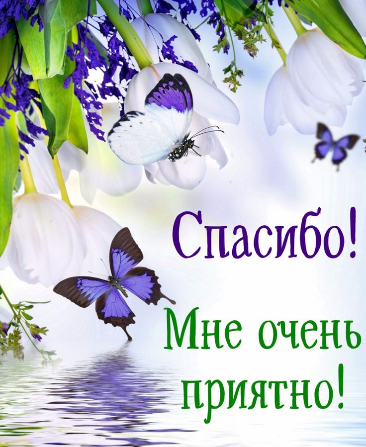 Отзывы о Flowersinboxomsk, Крупской улица, 14 к2, Омск