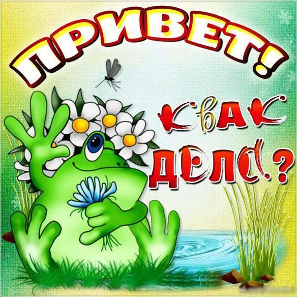 Термонаклейка на футболку 