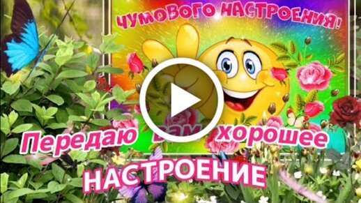 Веселые открытки с добрыми надписями для хорошего настроения 