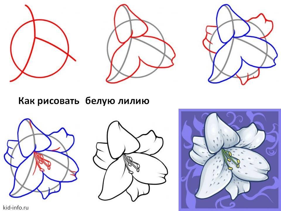 рисунок милые каракули комнатные 