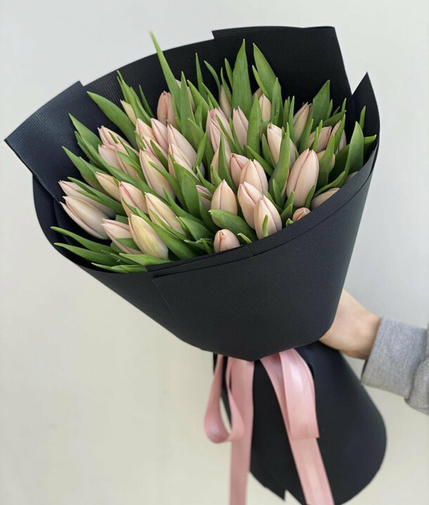 Тюльпан Tulipa