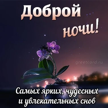 Спокойной ночи, доброй ночи