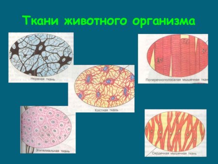 Картина на холсте с надписью на заказ 