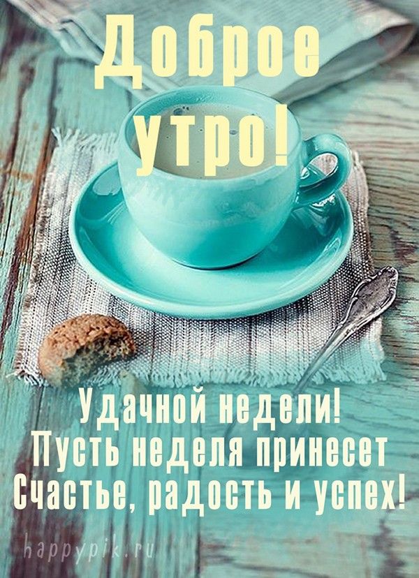 доброеутро #понедельник#начало #новой#недели 