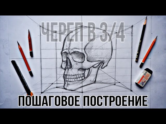 Skull drawing 