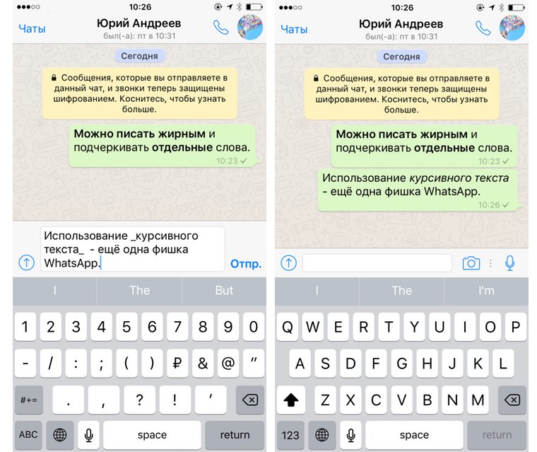 Смешные картинки Для статуса whatsapp 