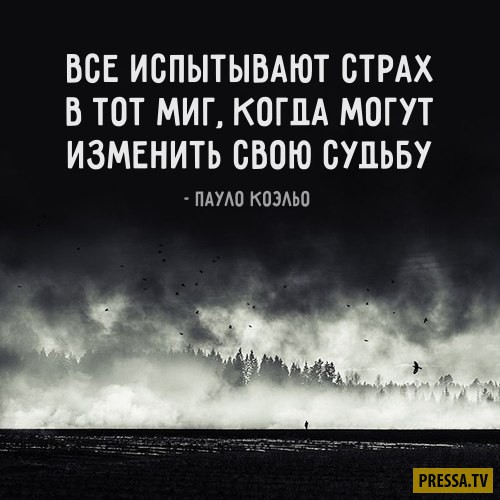 Картинки с мудрыми высказываниями о жизни и пожеланием 