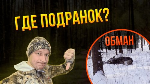 Приколы на рыбалке #2 – смотреть онлайн 