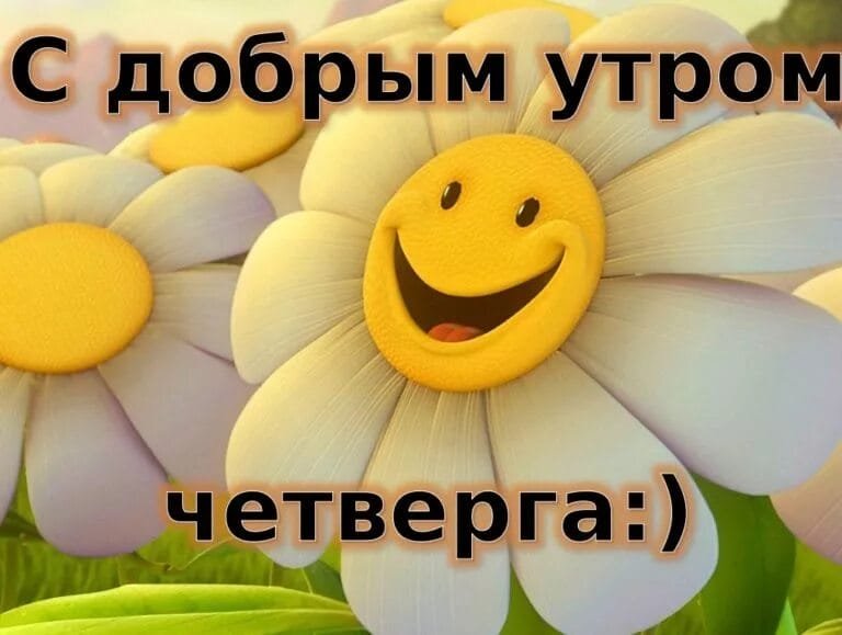 Доброе утро! Четверг