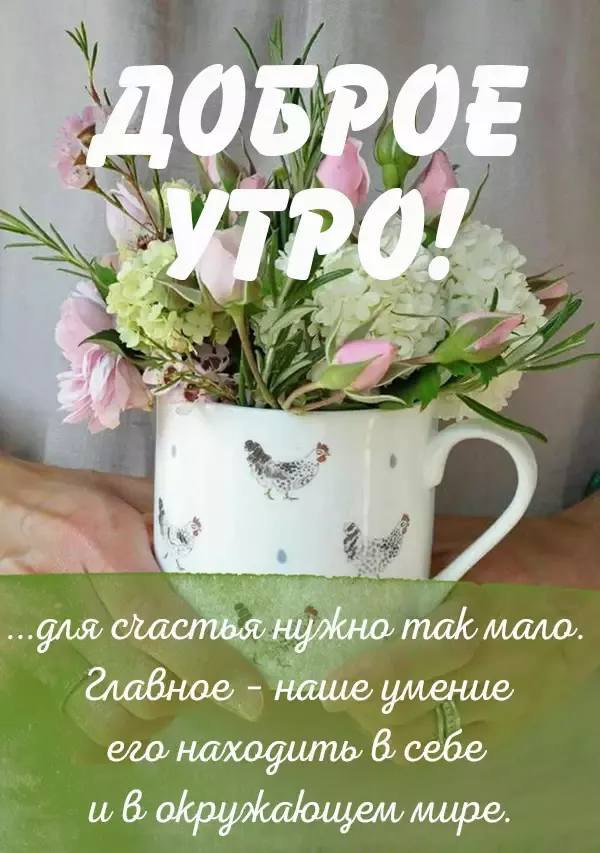 Утро вдохновляет