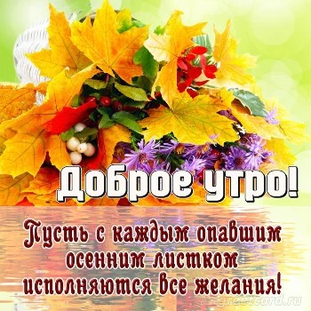 Доброе утро