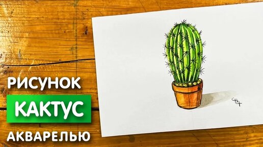 Кактусы для срисовки 40 картинок ✏ классные