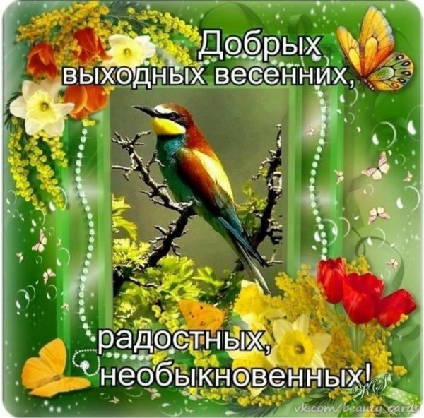 Отличных выходных