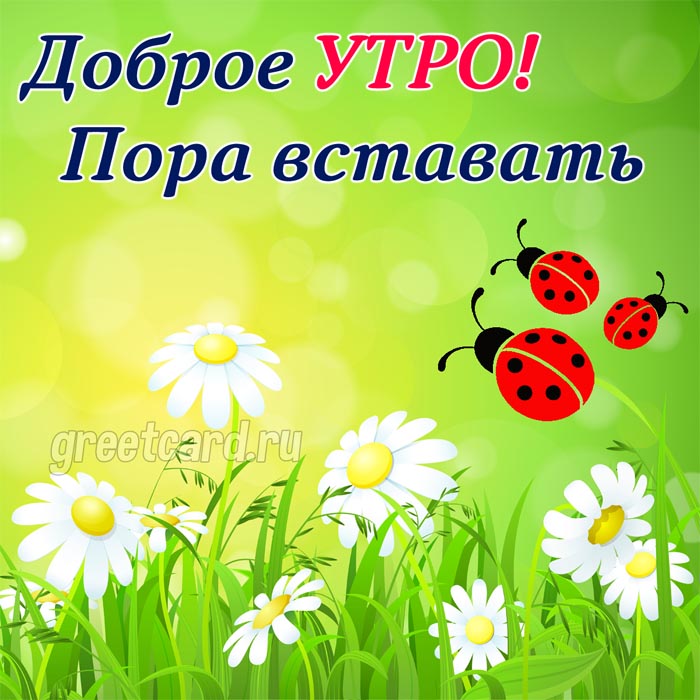 Открытка Доброе утро! Хорошего настроения!