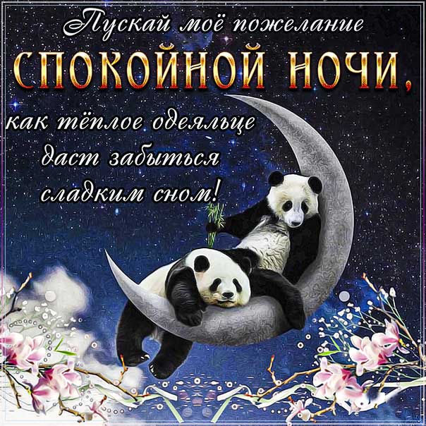 Доброй ночи! Добрых снов!