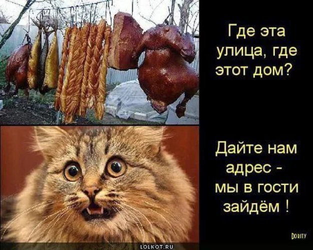 😉 Открытки и поздравления! 😉 Новая открытка для Вас 