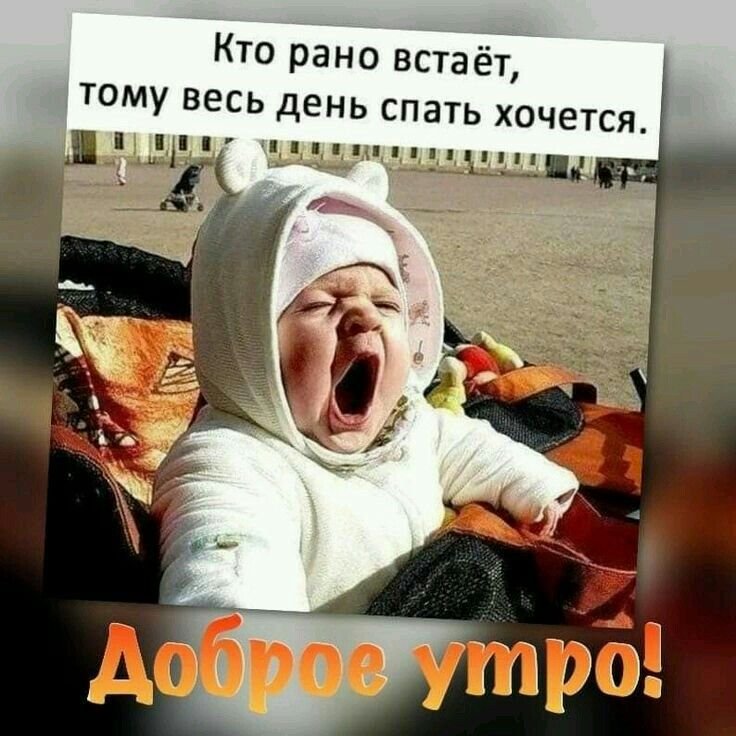 Смешные открытки доброе утро девушке 