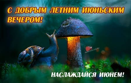 Добрый вечер