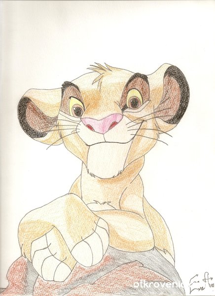 How To Draw Simba From The Lion King 