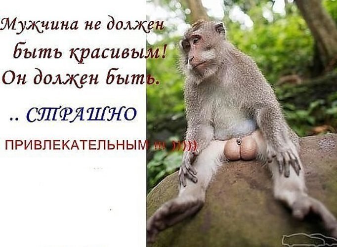 С ПЯТНИЦЕЙ! ЧУДЕСНЫХ ВЫХОДНЫХ 