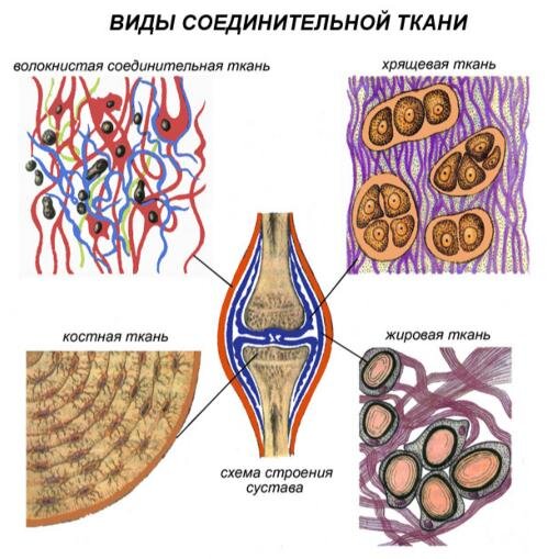 Виды тканей для платьев 