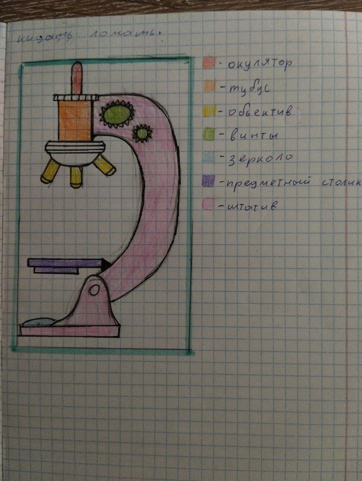 Детская школа искусств г