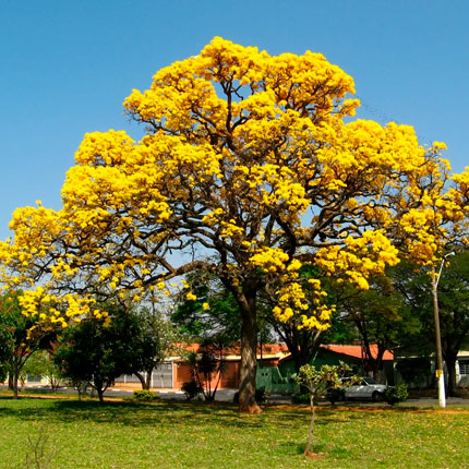 Mariupol Pitomnik 