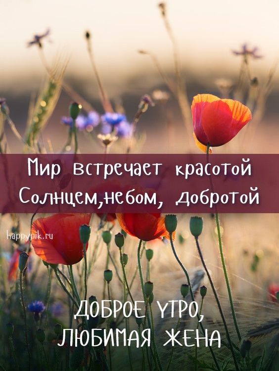 😃 Доброе утро красивые, весенние картинки с пожеланиями, с 