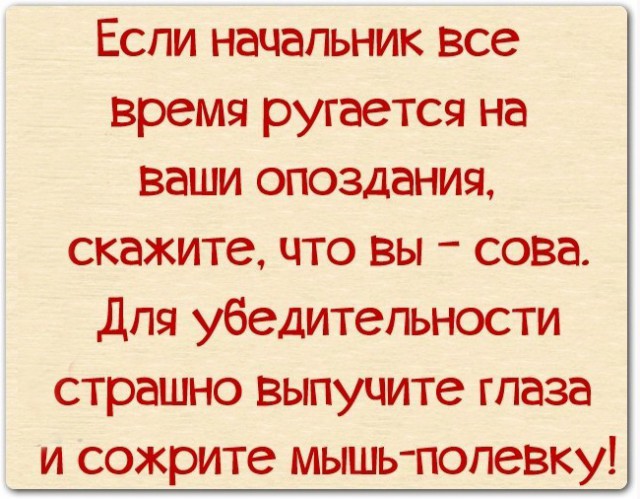 Поздравления с Днем рождения начальнику — стихи, проза 