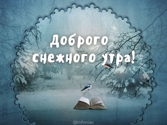 🌼Доброе ,снежное утро ,друзья !❄️❄️❄️ 🌸Радости Вам и 