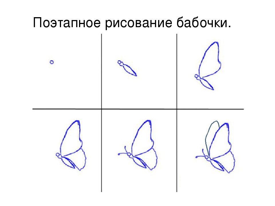 Бабочка рисунок для детей поэтапно легко карандашом 