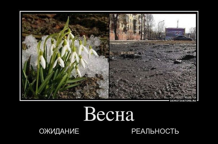 Весна Педченко