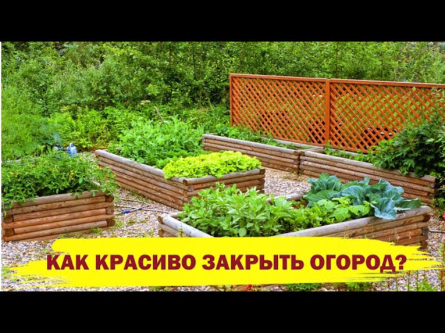 Очень интересное оформление огорода Много ресурсов для такого 