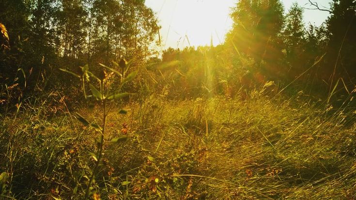 Конспекте занятия «Солнышко лучистое улыбнулось весело 