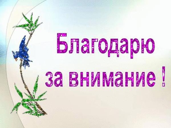 Новая картинка спасибо за внимание 