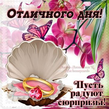 Отличного денечка и прекрасного 