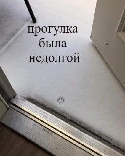 У природы нет плохой погоды