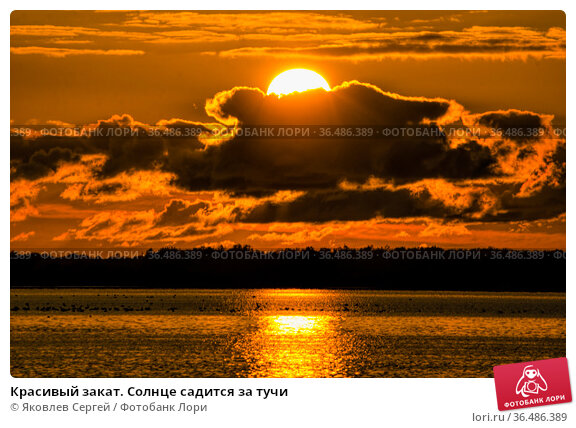 Более 1 741 100 работ на тему «восход солнца фотографии 