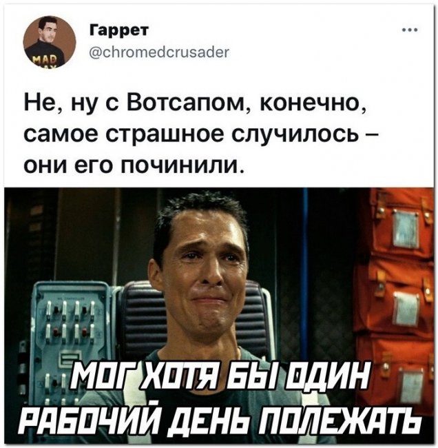 Приколы Леди Баг и Супер Кот